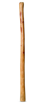 Natural Finish Didgeridoo (TW602)
